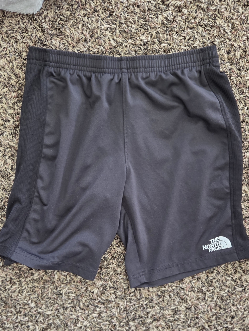 The North Face Black Athletic Shorts